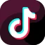 TikTok Video Downloader
